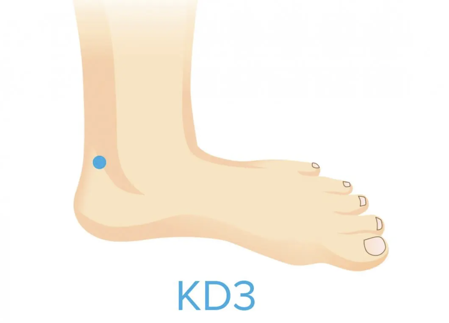 Huyệt KD3