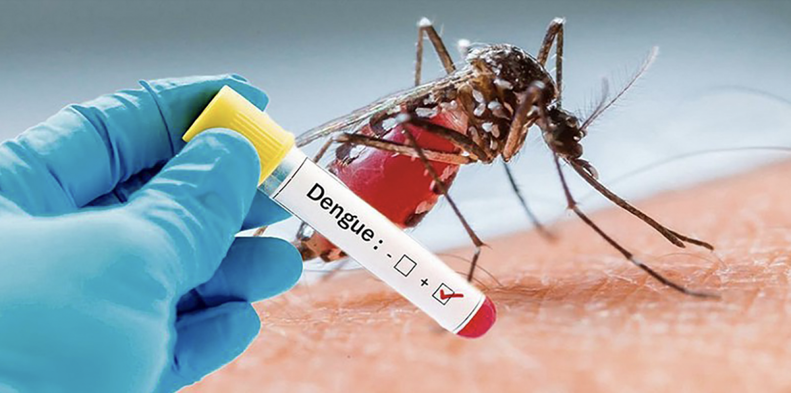 Người từng bị sốt xuất huyết vẫn có thể mắc lại do virus Dengue có nhiều type khác nhau